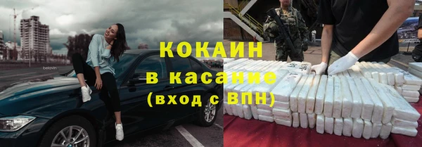 сатива Зерноград